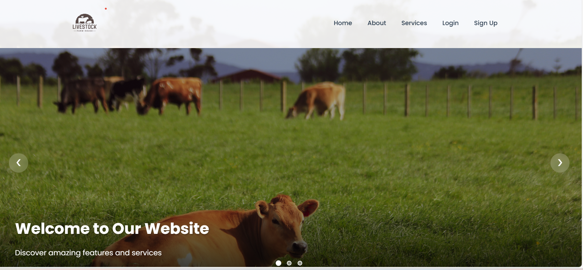 Dashboard Overview